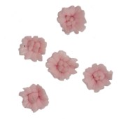 Ακρυλικά Λουλούδια 3D γιά διακόσμηση νυχιών 5 τεμαχια Nr.5