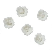 Ακρυλικά Λουλούδια 3D γιά διακόσμηση νυχιών 5 τεμαχια Nr.9