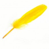 φτερό για nail art κίτρινο