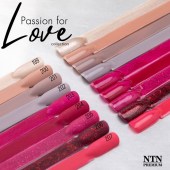 Ημιμόνιμο Βερνίκι νυχιών NTN Premium Passion for Love 5g 203