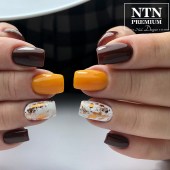 Ημιμόνιμο Βερνίκι νυχιών NTN Premium Multicolor 5g Nr84