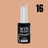 Ημιμόνιμο Βερνίκι νυχιών NTN Premium Topless 5g Nr16 
