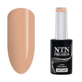 Ημιμόνιμο Βερνίκι νυχιών NTN Premium Topless 5g Nr16 