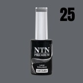 Ημιμόνιμο Βερνίκι νυχιών NTN Premium Uptown Girl 5g Nr25